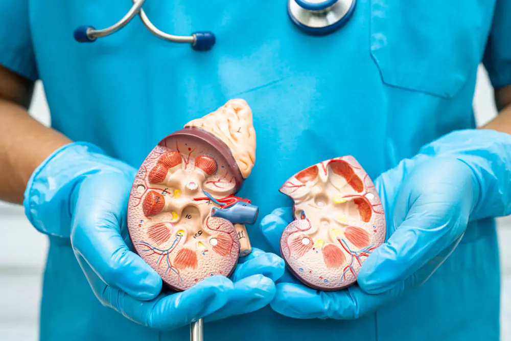 Nephrology